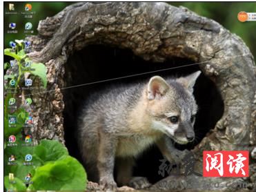 360ɱ��������ô���ö�ʱɱ��