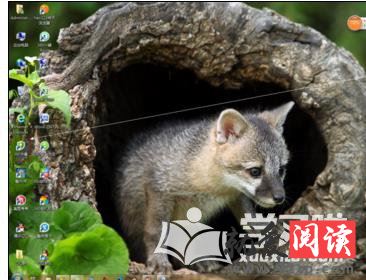 360ɱ�����ö�ʱɨ��