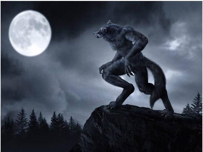 lols6����������װ_lols6�����츳��װ�Ƽ�