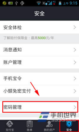 手机支付宝的支付密码如何更改?_手机软件指南