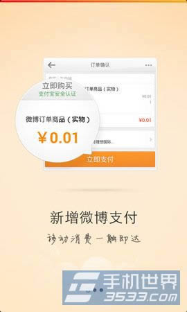 ����΢����ΰ�֧�����˻��� ����