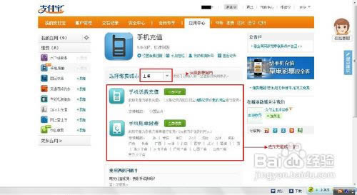 ��ô����֧�������ֻ���ֵ