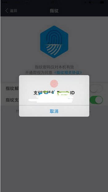 ֧����ָ�ƽ�����ô���� ֧����Ǯ��ָ�ƽ������ý̳�ͼ6