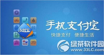 ֧����9.0������ô��ͨ ����