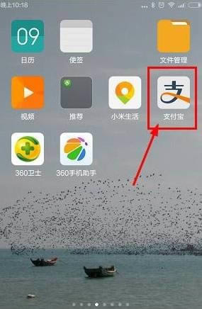 ֧�����ڱ��������� ����