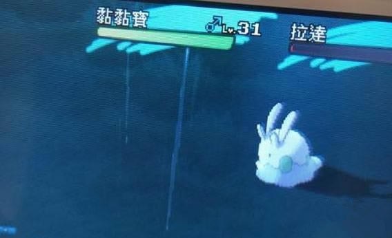 �ڴ����������𤱦��׽�ص���ϸ˵��_���鱦����̫�������𤱦��׽�ص���ϸ˵��