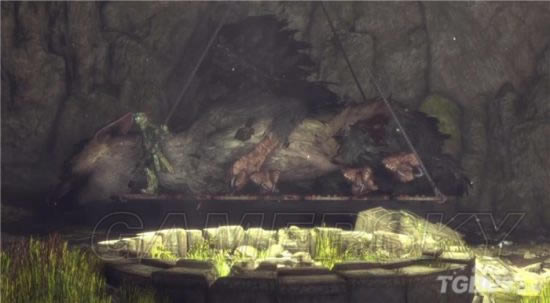 �����ػ��߾������_�����ػ��߹��±�������