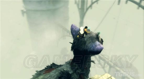 �����ػ��߾������_�����ػ��߹��±�������