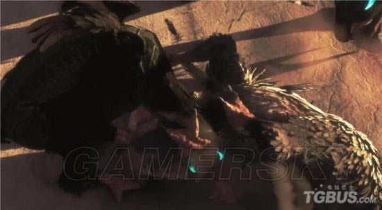 �����ػ��߾������_�����ػ��߹��±�������