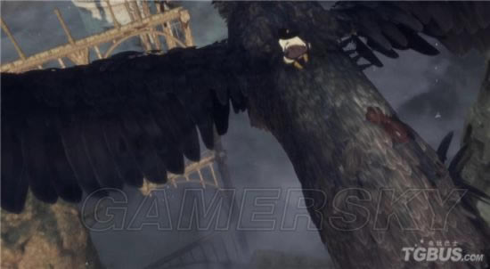 �����ػ���ΪɶҪ�����ղ�Ѫ_�����ػ������������ղ�Ѫ