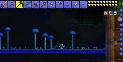 ̩��������¶�沶׽�취_̩��������¶������ץ