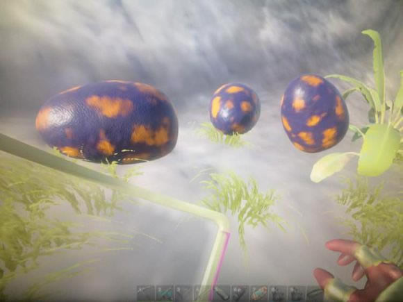 �����������ϡ�����������ȫ_���������������Щ������������