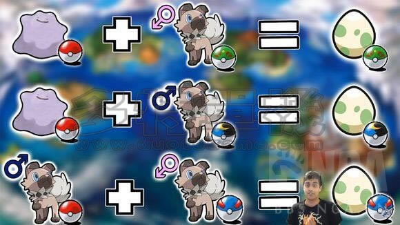 �ڴ��������¾����������Ŵ�_�ڴ��������¾������Ŵ�������ϸ˵��