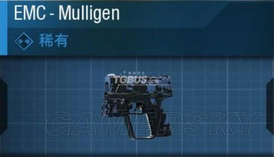 ʹ���ٻ�13��ǹ���Ĵα��ֽ���_ʹ���ٻ�13��ǹ�ı��ּ��ܽ���