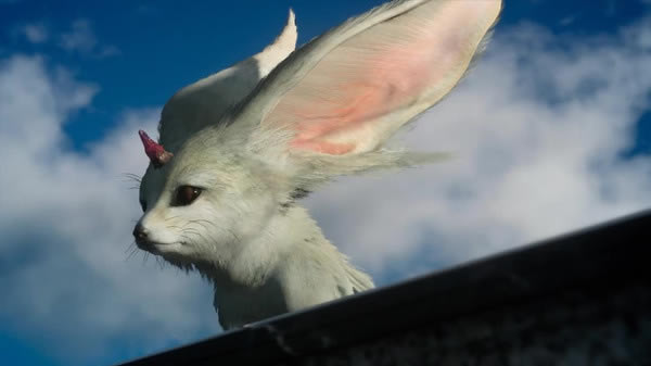 ���ջ���15���ɼ��ɹ���_ff15����Щ��Ҫע��ĵط�