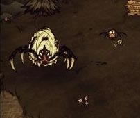 ����TGP�������֩��ˢ������_����TGP������ˢ֩��