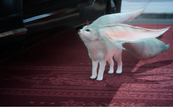 ���ջ���15��������ʱ�����_���ջ���15��������Ҫ�೤ʱ��