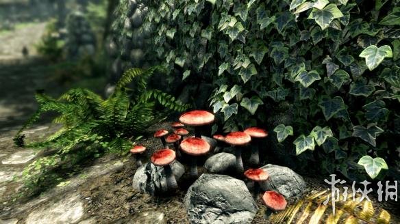 �Ϲž���5���ư�������԰�ȫ����Լ�����Ʒ_�Ϲž���5���ư治�ᶪ�����ĵط�