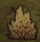 ����������ǰ�ھ�������Ѫʳ���б�_����������ǰ�ڻ�Ѫʳ������Щ