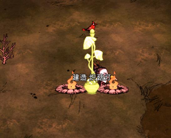 ����������Ģ���ƻ�ð취_����������㹽��������