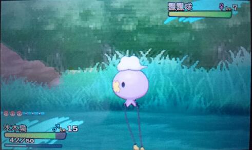 �ڴ���������ƮƮ��׽�ص����_���鱦����̫������ƮƮ����ɶ�ط�ץ