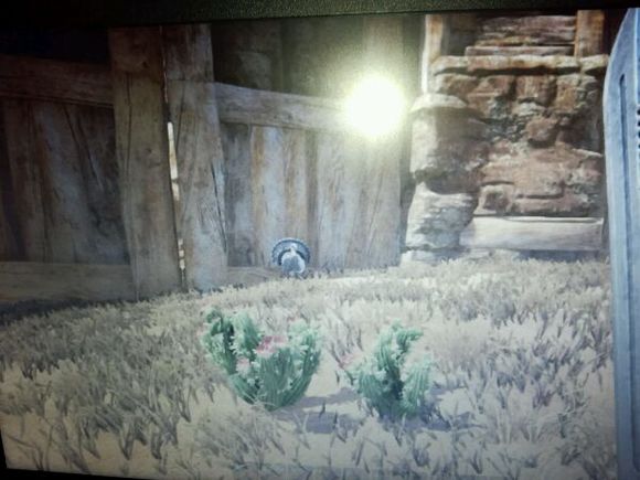 ���������������������ɱ_�����������2016�����𼦴򷨹���