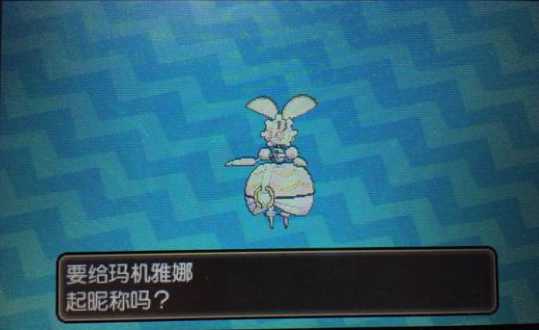 口袋妖怪日月玛机雅娜怎样获得_口袋妖怪日月玛机雅娜QR码