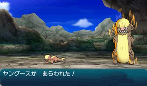 �ڴ��������뾫����ֵص���ϸ˵��_���鱦����̫����������С��������Щ