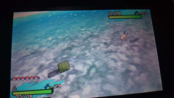 �ڴ��������³���㲶׽�ĵ�_���鱦����̫�����������������