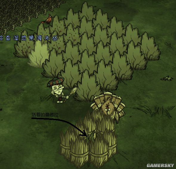 ���Ĺ���������������ͼ�Ĺ���_���Ĺ�����������������