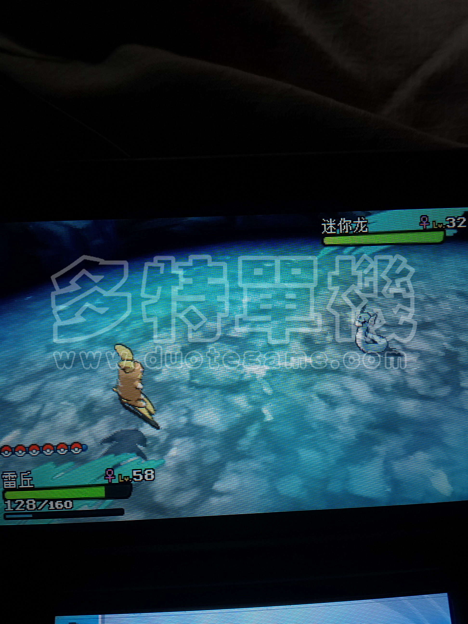 ���鱦����̫��������������ɶ�ط�׽_�ڴ���������������ȡ�ð취