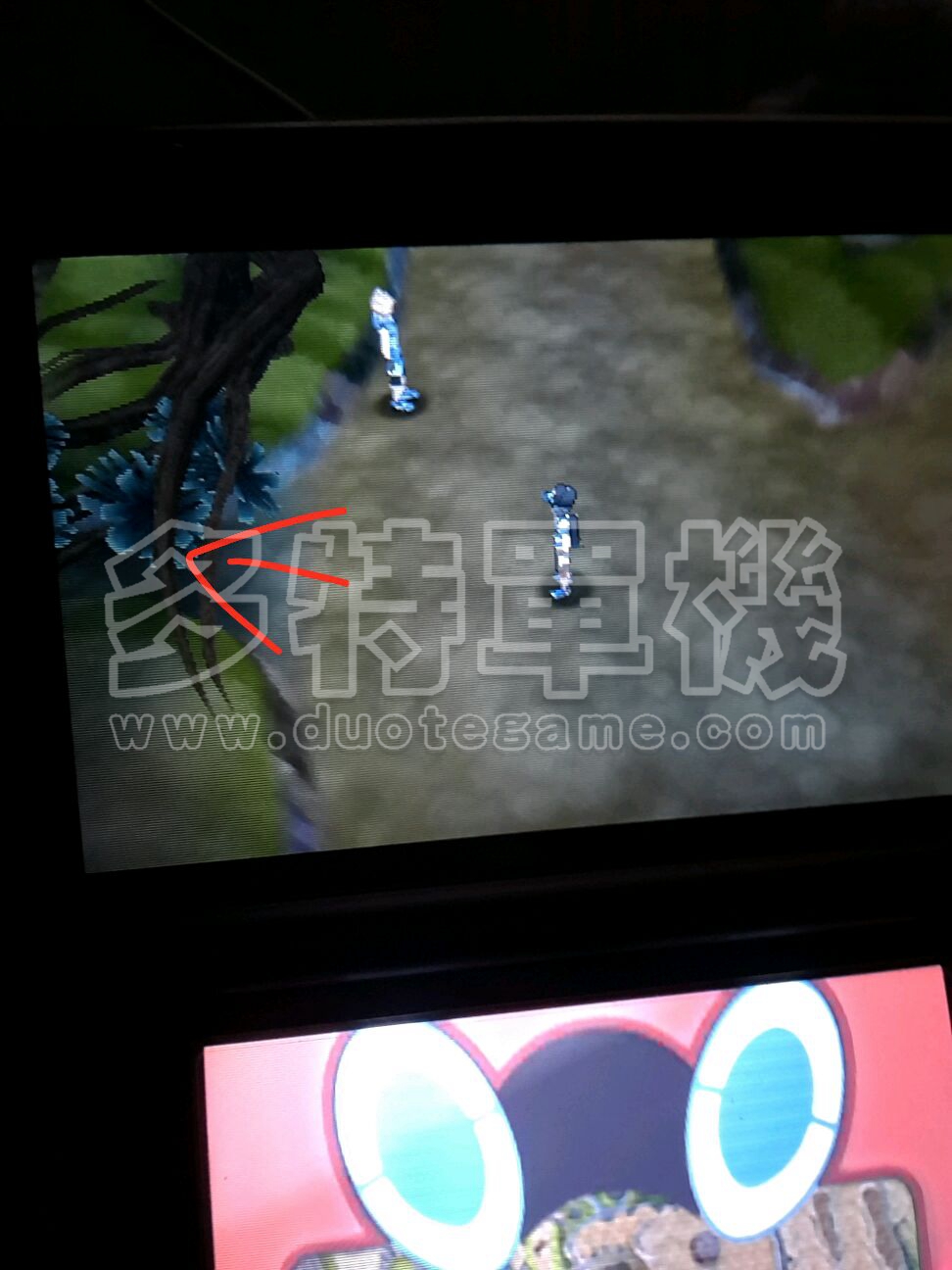 ���鱦����̫��������������ɶ�ط�׽_�ڴ���������������ȡ�ð취