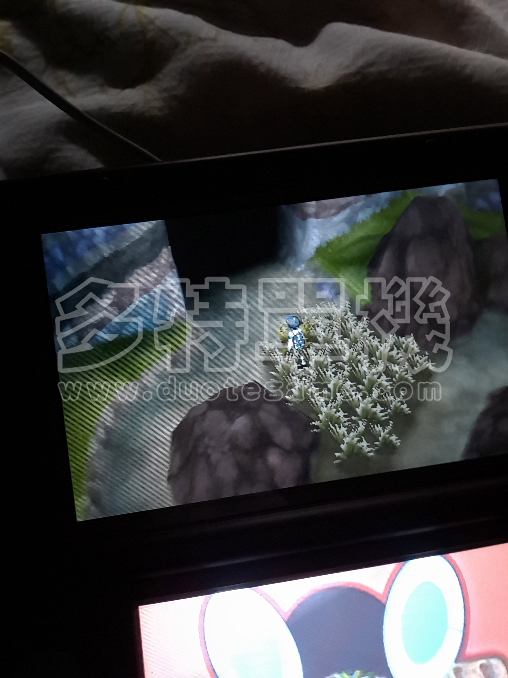 ���鱦����̫��������������ɶ�ط�׽_�ڴ���������������ȡ�ð취