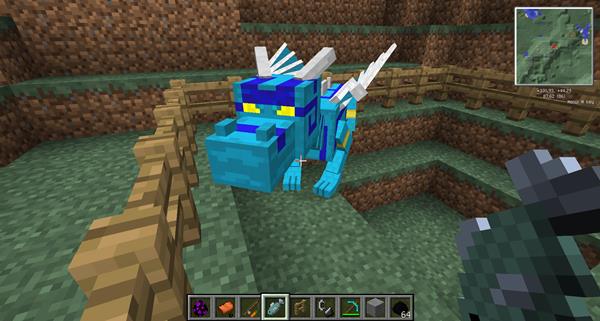 �ҵ���������������ϸ˵������ֲ�취_�ҵ���������������