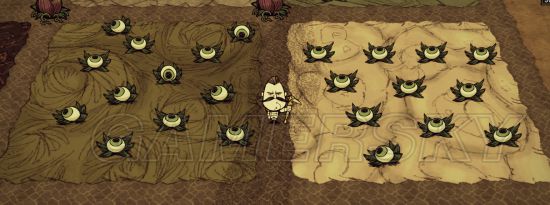 ����TGP������ͼ�Ĺ���_����TGP���������漼��ͼ�Ĺ���_����TGP��������