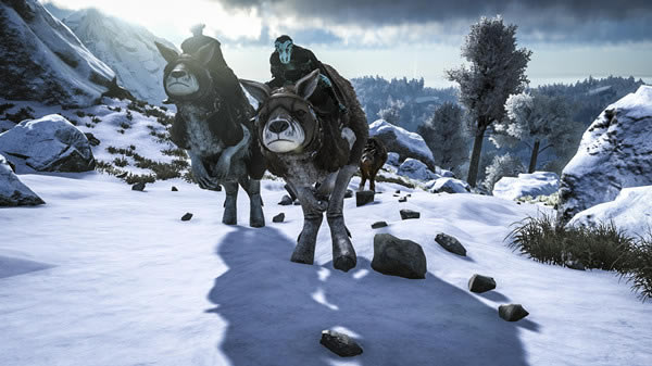 �������������������ѱ��_�����������������׽ѱ���취