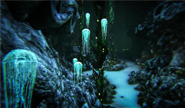 �����������ˮĸ����_�����������ˮĸ������ɶ