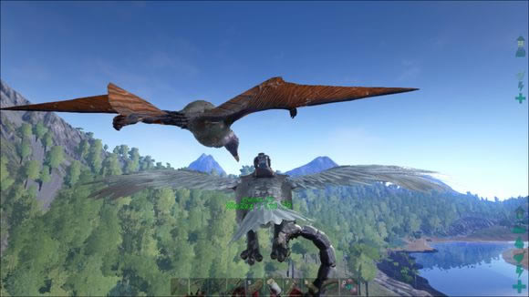 �����������ץ�����淨����_�����������ץ��������Щ���ü���