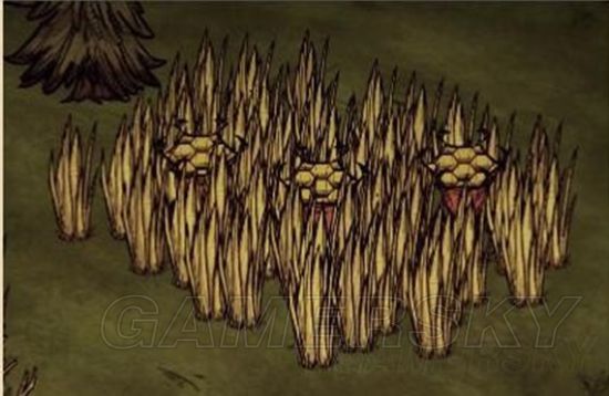 ��������Щ�����ʵ�_����ȫ�����ʵ�����ͼ�Ľ���