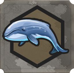 ����6ʲô�ݳ���Դ��Ҫ_������6���ݳ���Դ���ý���