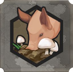 ����6ʲô�ݳ���Դ��Ҫ_������6���ݳ���Դ���ý���