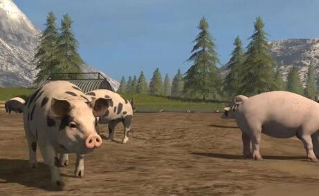 ģ��ũ��17��Ȧ��ô����_ģ��ũ��17������Ȧ����