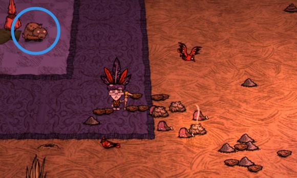 ������������ôǨ��ţȺ_����������Ǩ��ţȺ����ͼ�Ĺ���