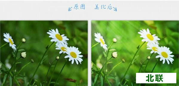 2345��ͼ����������2021��ǿ���������