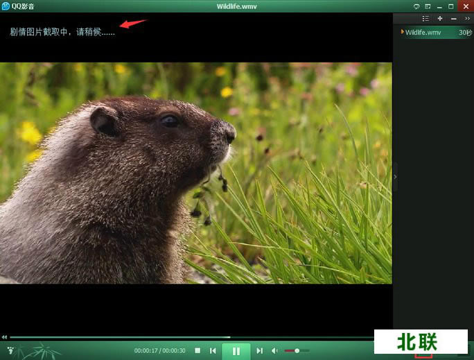 最新qq影音播放器官方下载2021电脑版