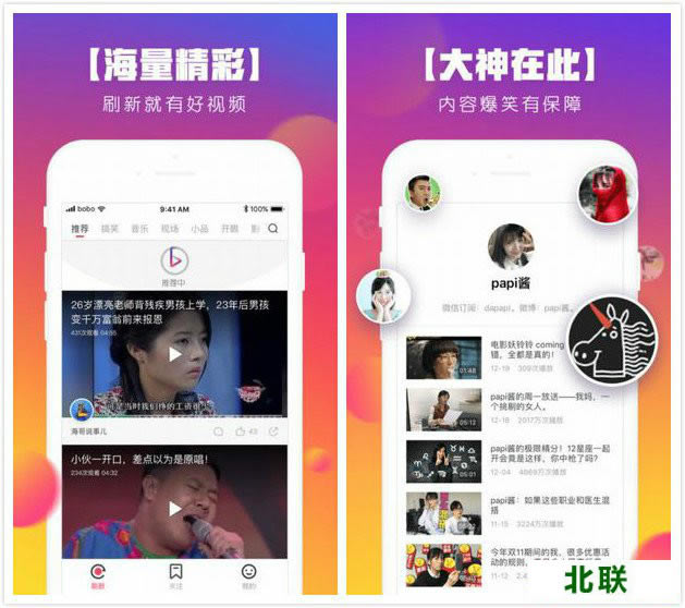 bobo波波视频下载安装2021手机版