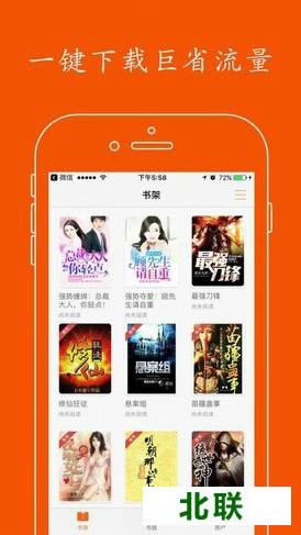 ʲô������������С˵�������