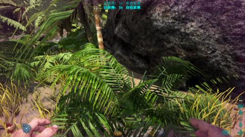 �����������online���¿ͻ�������