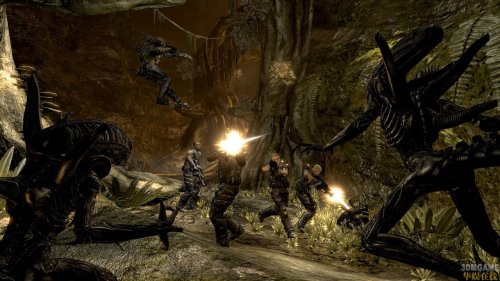 �����δ�ս��Ѫսʿ�����İ�