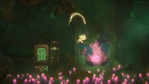 �����������ܴ�ð�ա����İ�